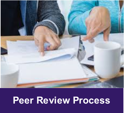 Peer Review Process